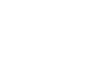 Noblesville Photographer - Studio Kate Portrait Design - Mini Logo White Transparent